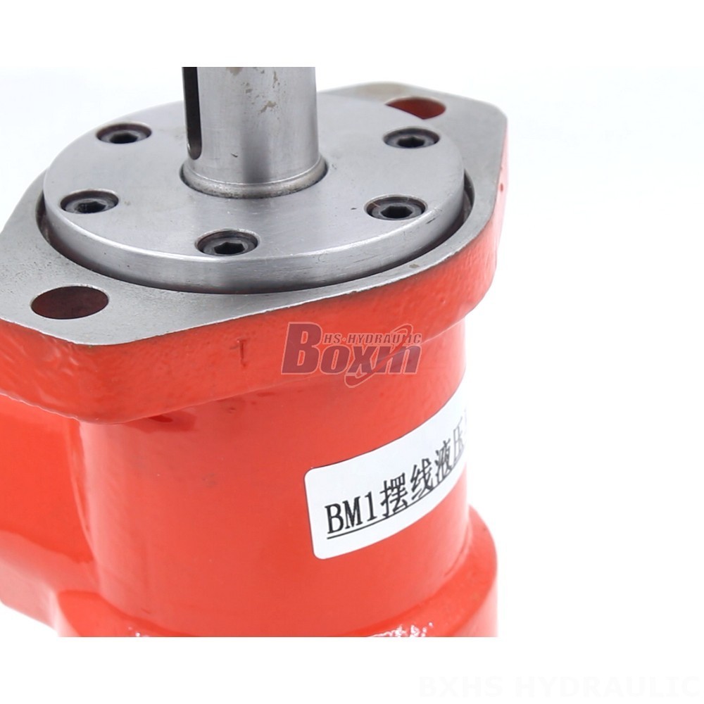Design Your Own BMR Cycloid Hydraulic Motor: OEM/ODM Welcome detail image